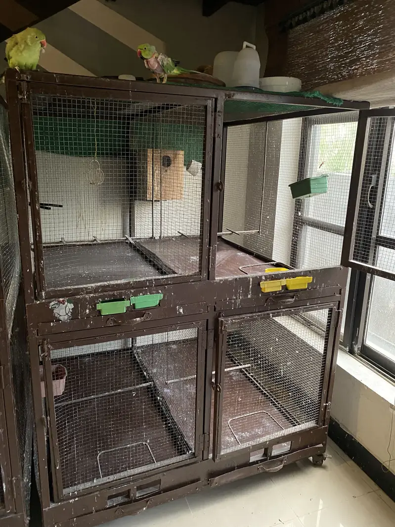 Cages 30k each — photo 3