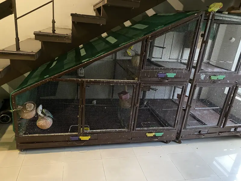 Cages 30k each — photo 4