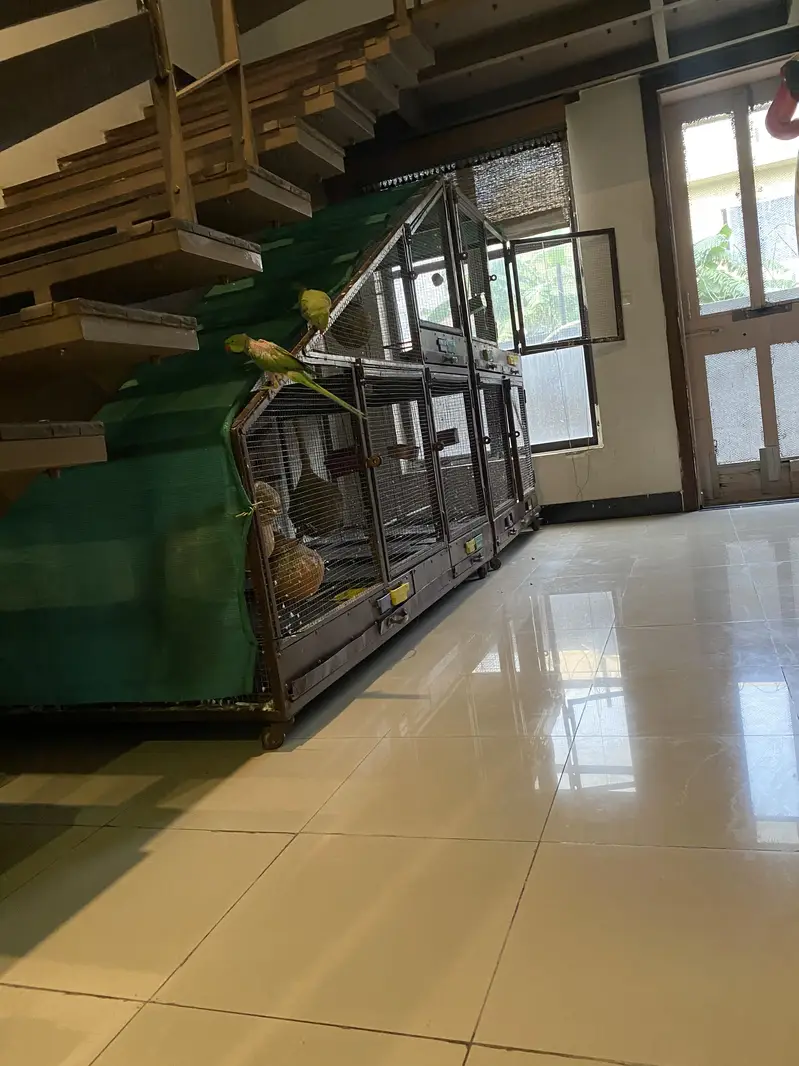 Cages 30k each — photo 5