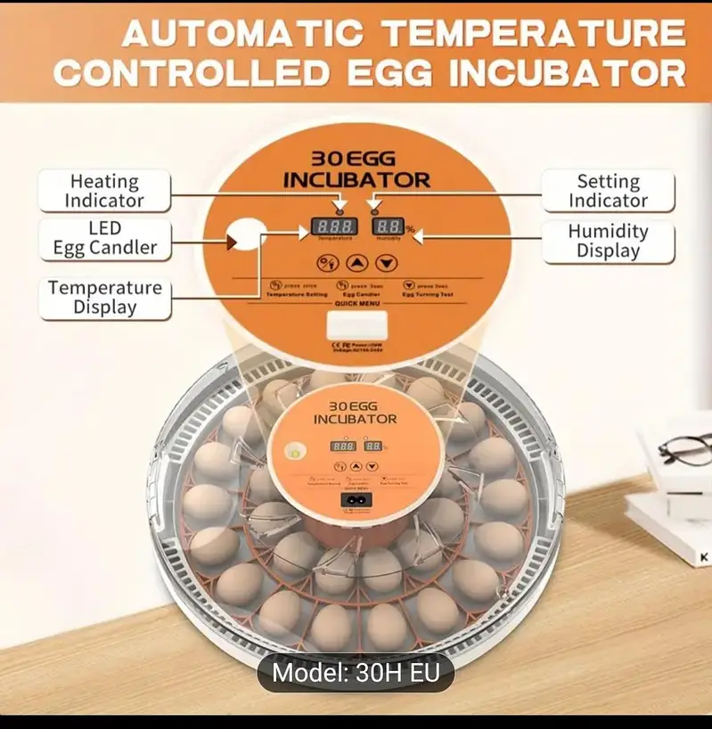 egg incubator 30 eggs H