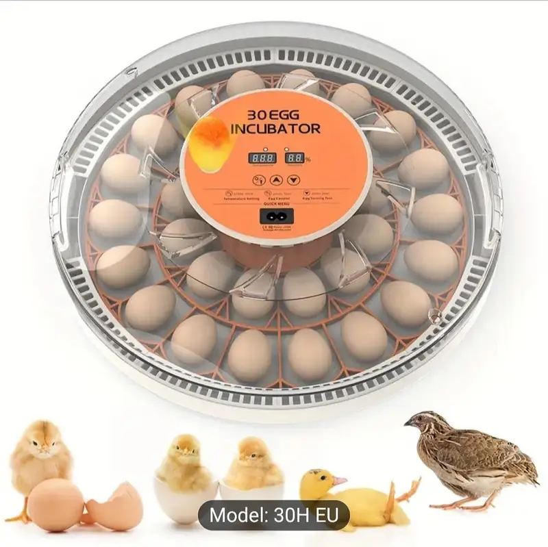 egg incubator 30 eggs H — photo 2