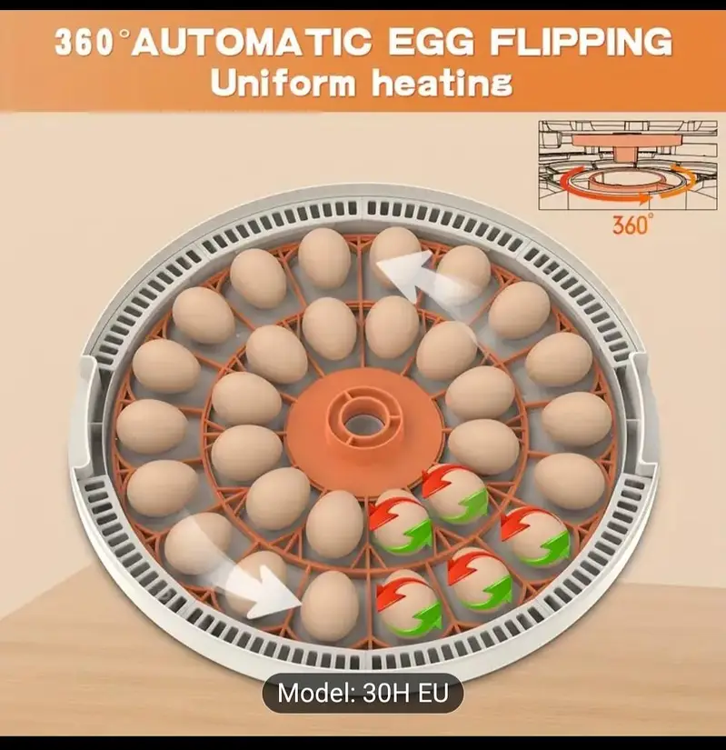 egg incubator 30 eggs H — photo 3