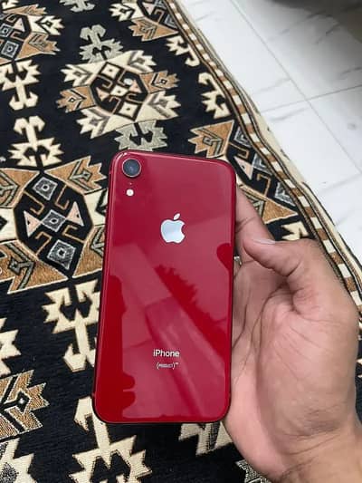 Apple iPhone XR - Mobile Phones - 1105379268