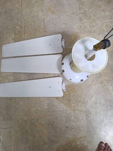1 gfc fan available for sale