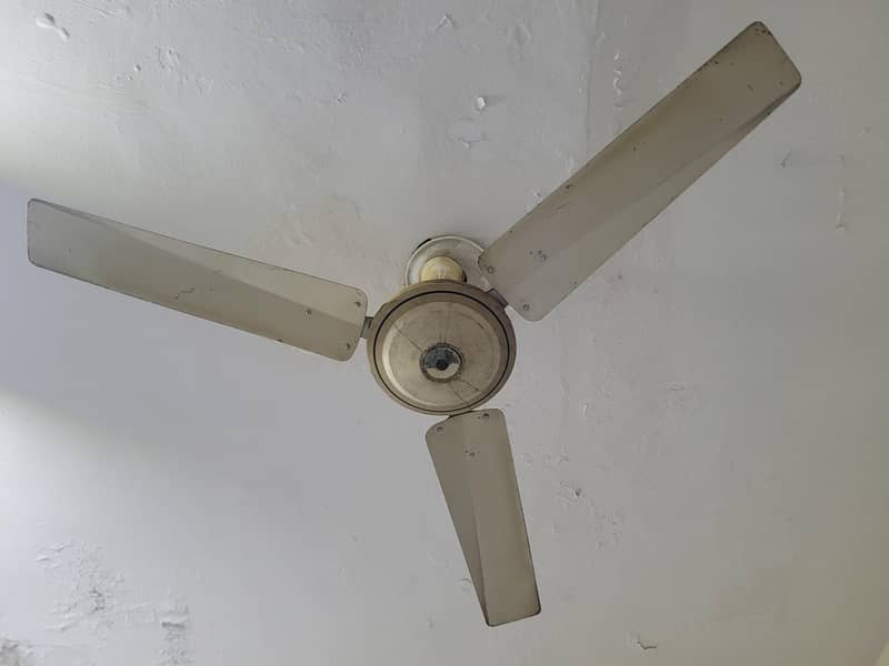ceiling fan 1
