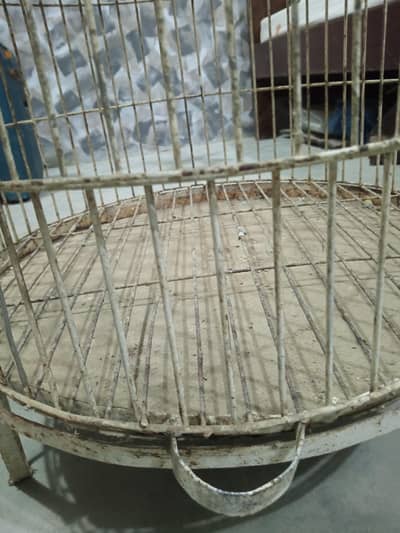 cage big parrot