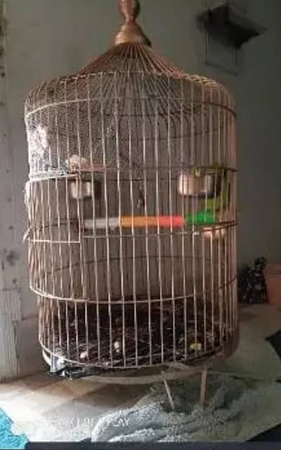 cage fancy round shape for maccow & others (Only Cage)