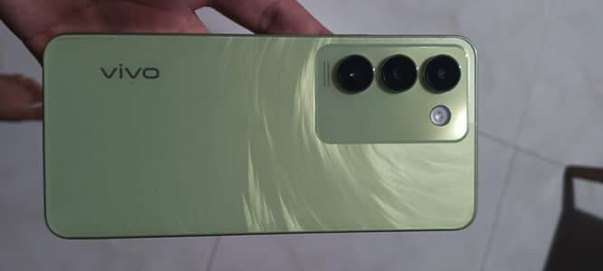 sale vivo