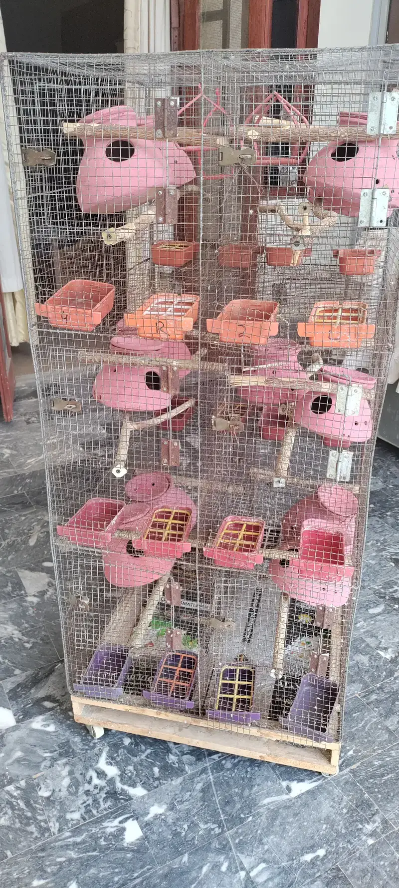 Cage for budgies and fischer 53x24x28inch @zealpak Society