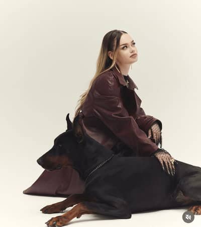 European Doberman Puppies