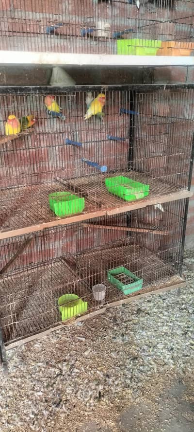 cages 4 portion 2 portion