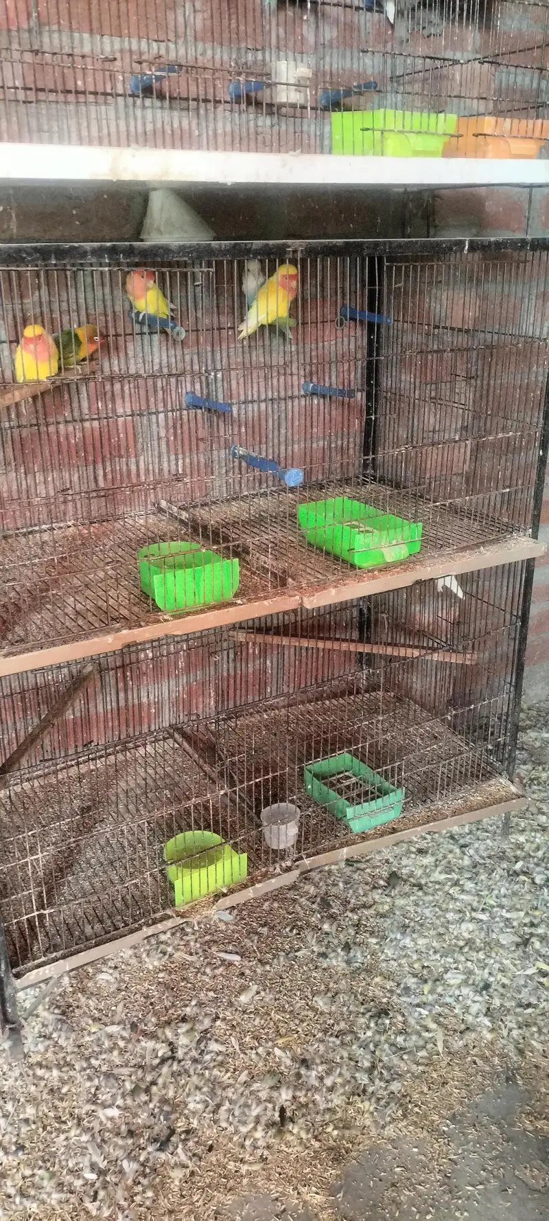 cages 4 portion 2 portion