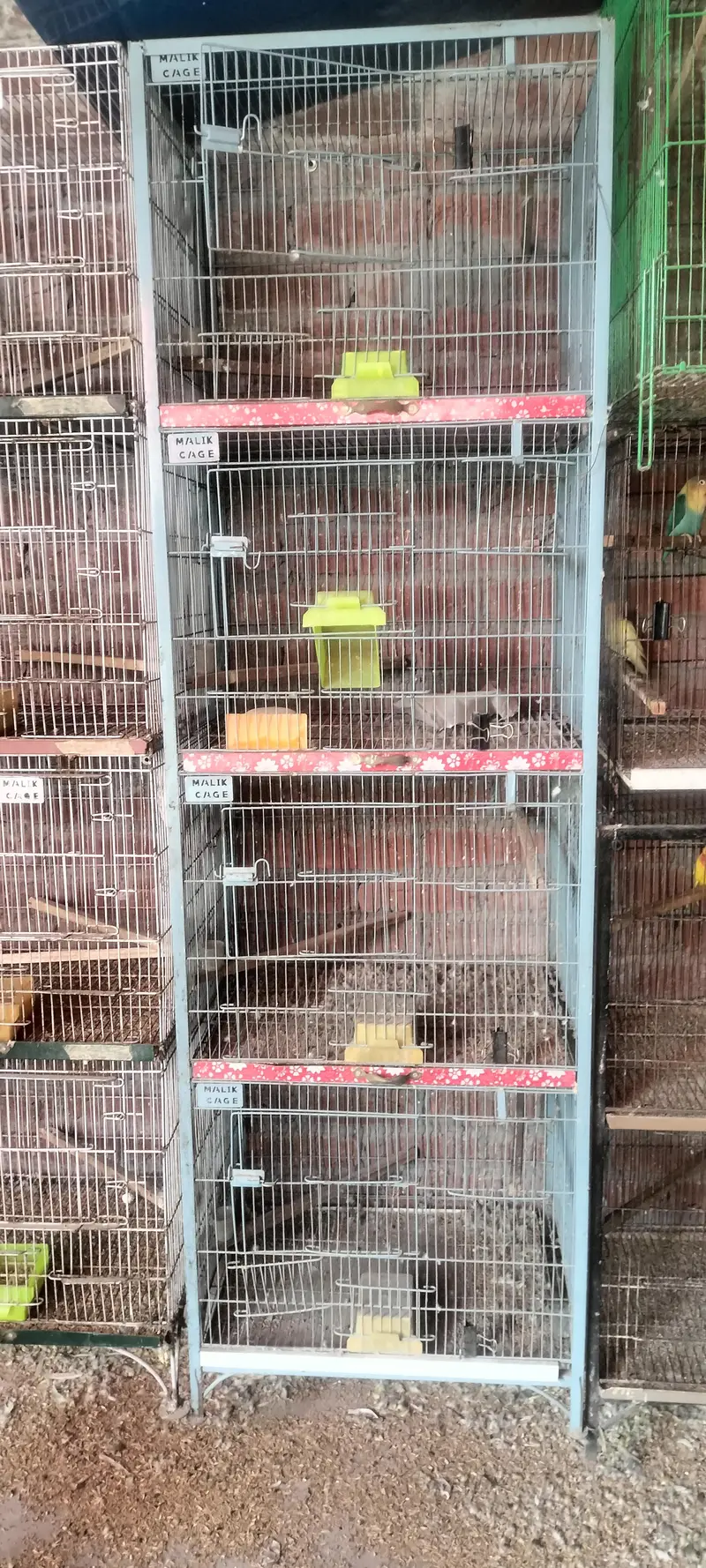 cages 4 portion 2 portion — photo 3