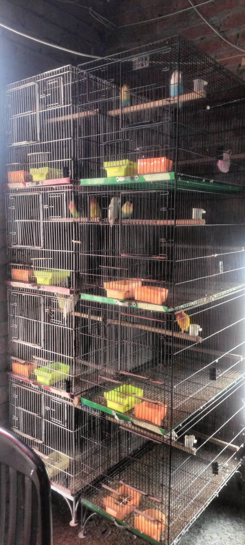 cages 4 portion 2 portion 3