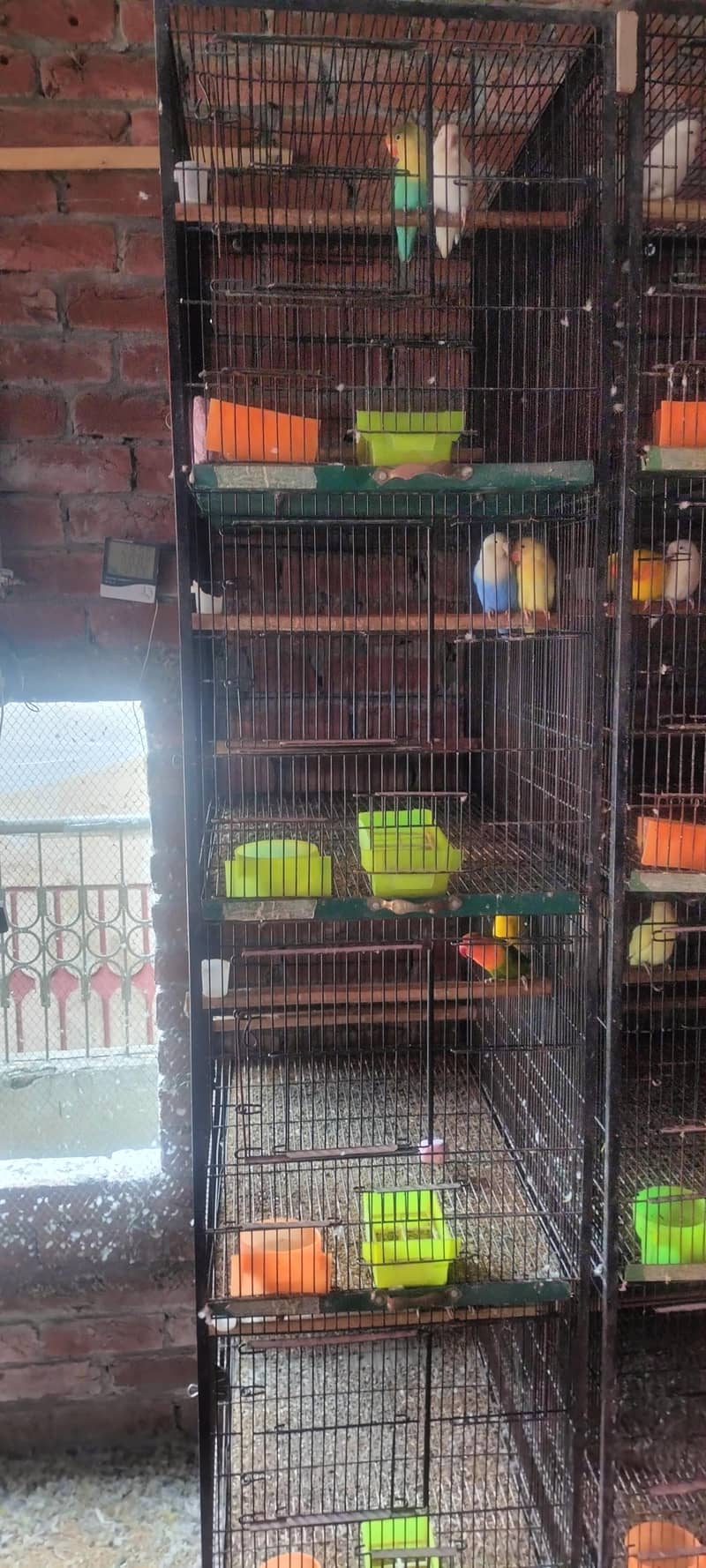 cages 4 portion 2 portion 5