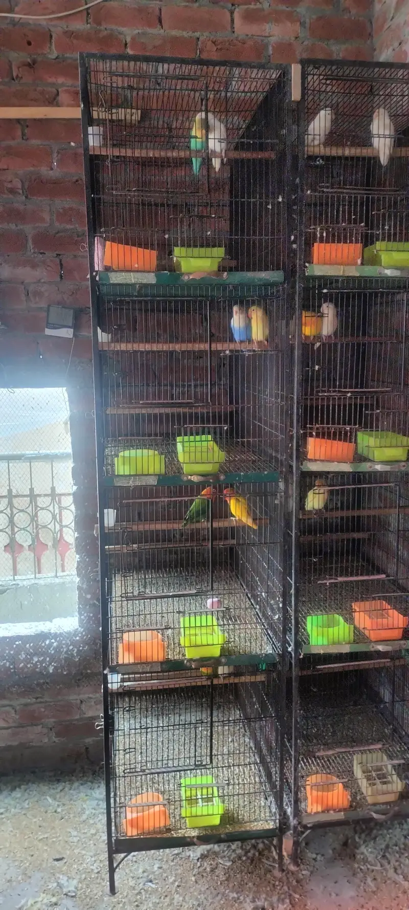cages 4 portion 2 portion — photo 7