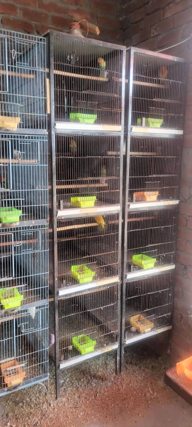 cages 4 portion 2 portion 7