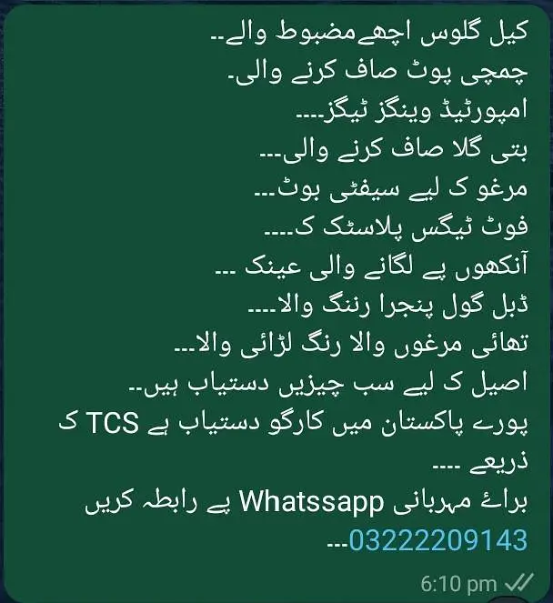 Aseel Items