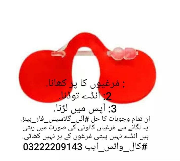 Aseel Items 4