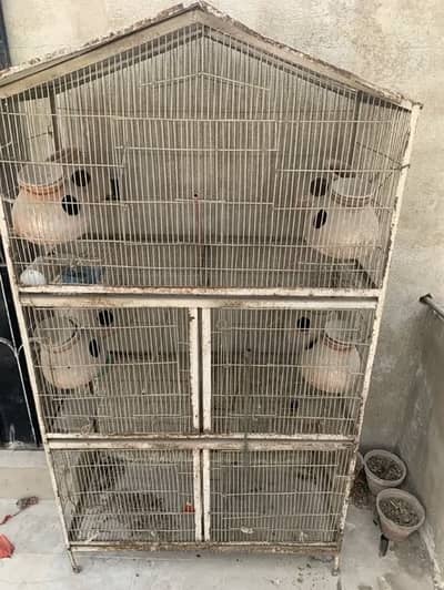 5 portions cagee