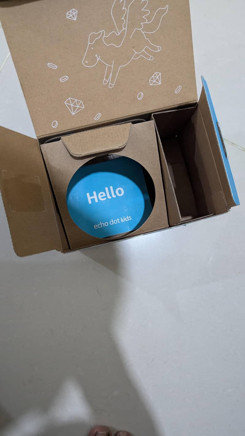 echo dot 5