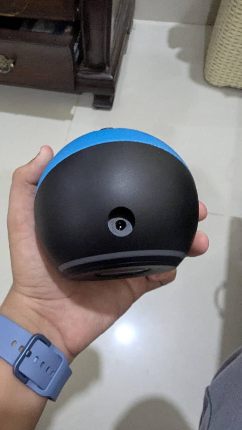 echo dot 6