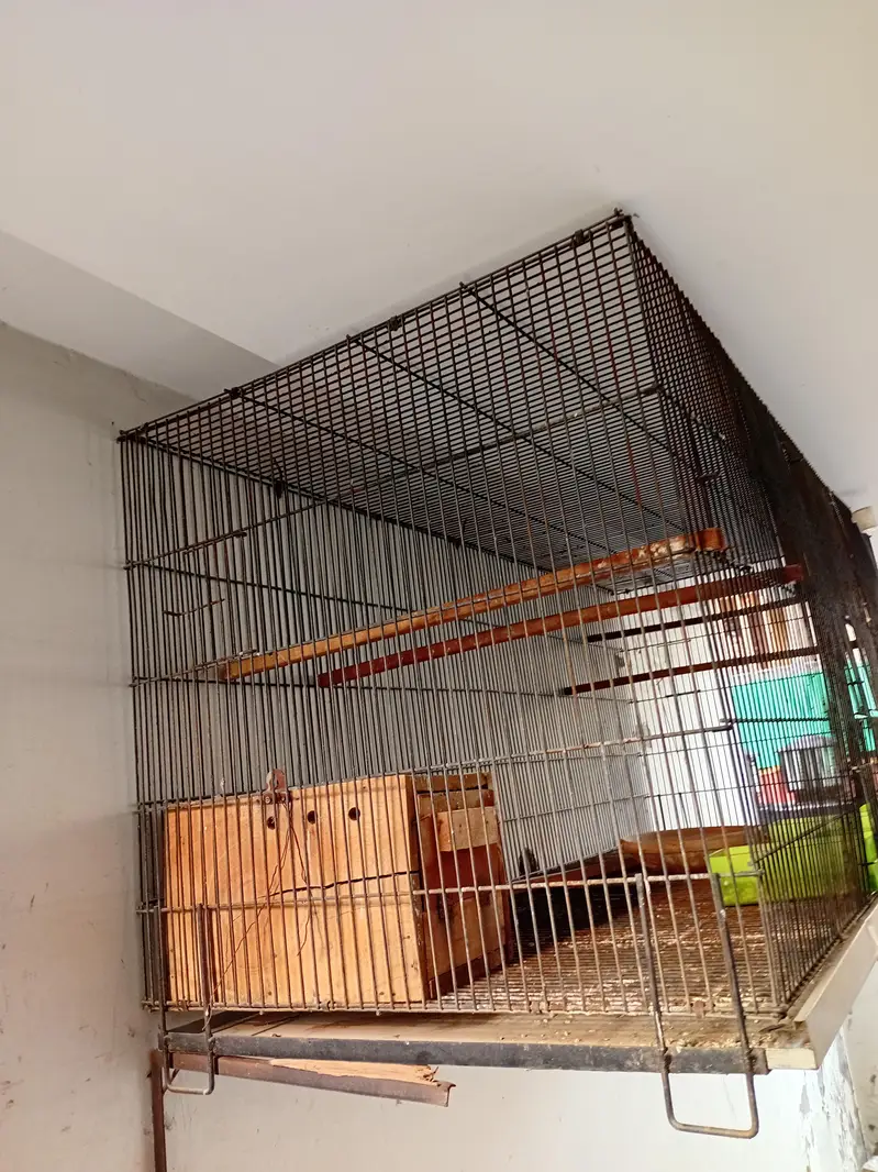 Iron Birds cage for sale in bahria town lhr — photo 2
