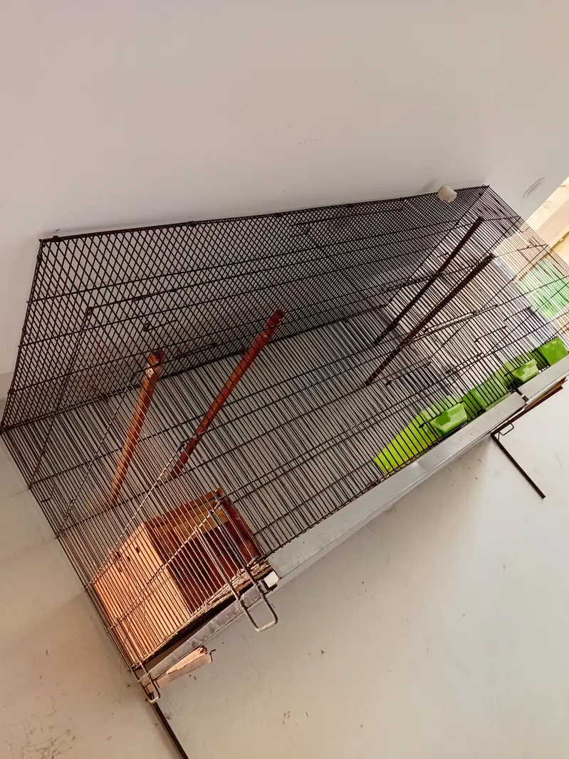 Iron Birds cage for sale in bahria town lhr — photo 3