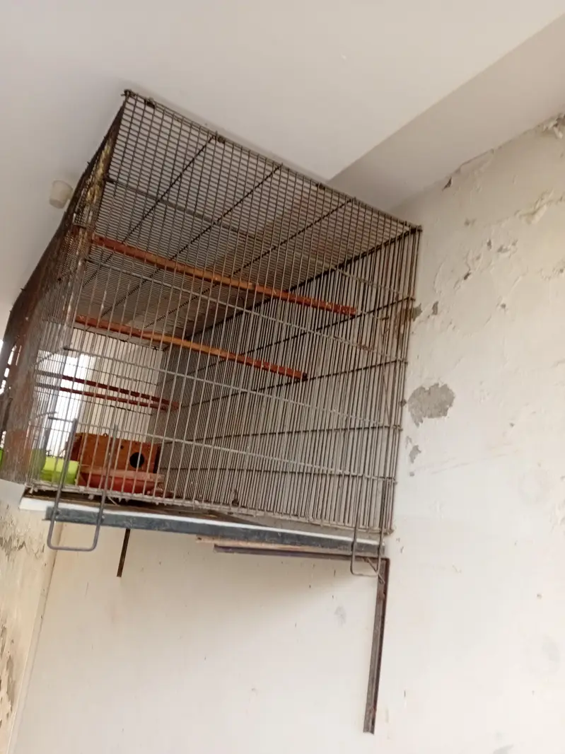 Iron Birds cage for sale in bahria town lhr — photo 4