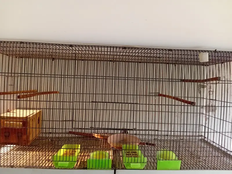Iron Birds cage for sale in bahria town lhr — photo 5