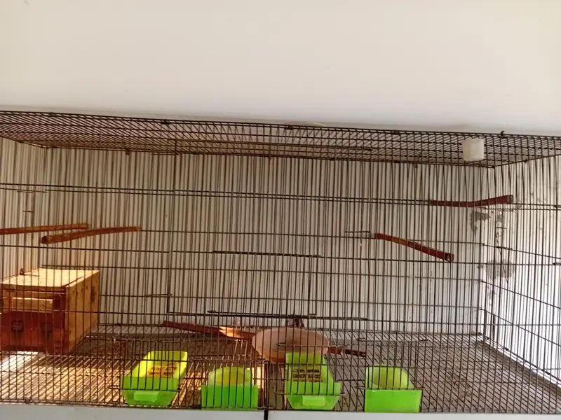 Iron Birds cage for sale in bahria town lhr — photo 6