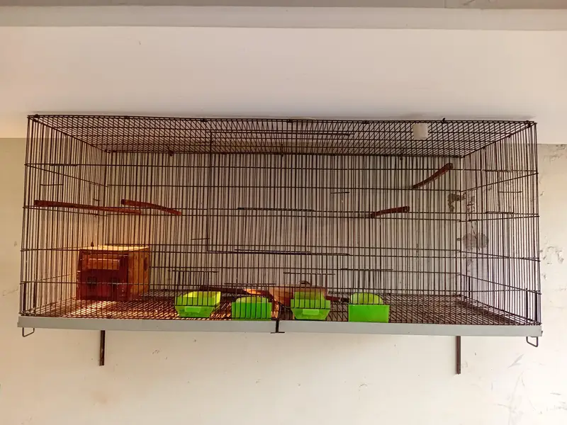 Iron Birds cage for sale in bahria town lhr