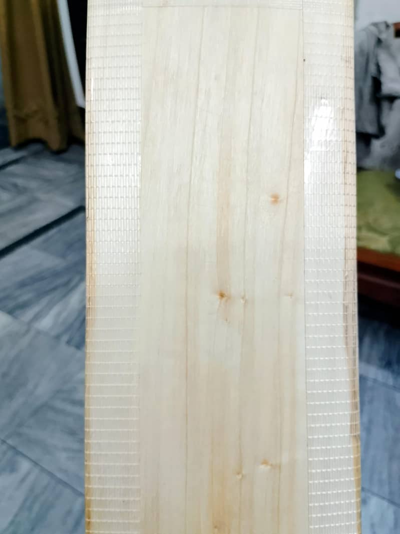 cricket kit 2