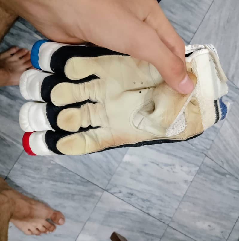 cricket kit 12