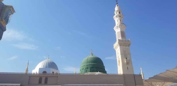 aLi shEiKh