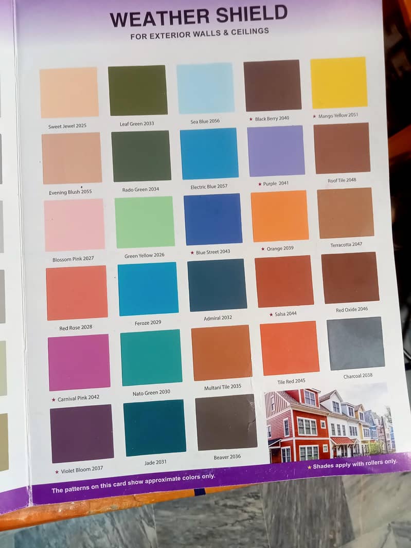 hous painter available 4