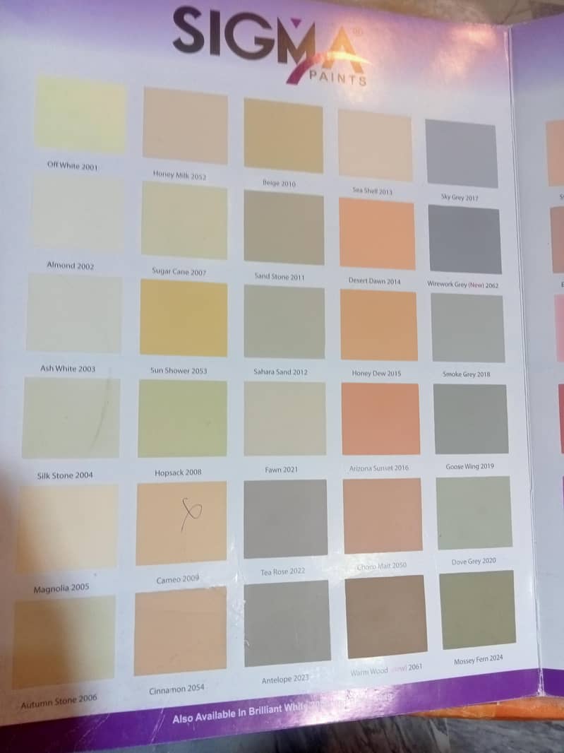 hous painter available 5