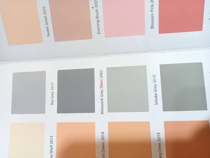 hous painter available 6