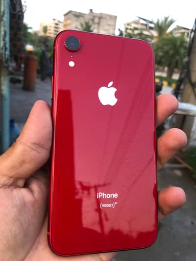 Iphone XR 64GB Condition 10/9.5 battery health 83% water pick  Non PTA