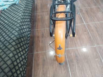 My beautiful cycle is for sale