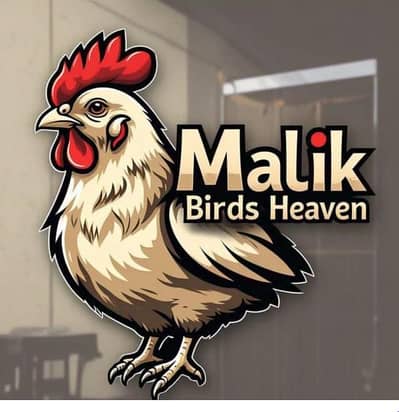Malik Birds Heaven