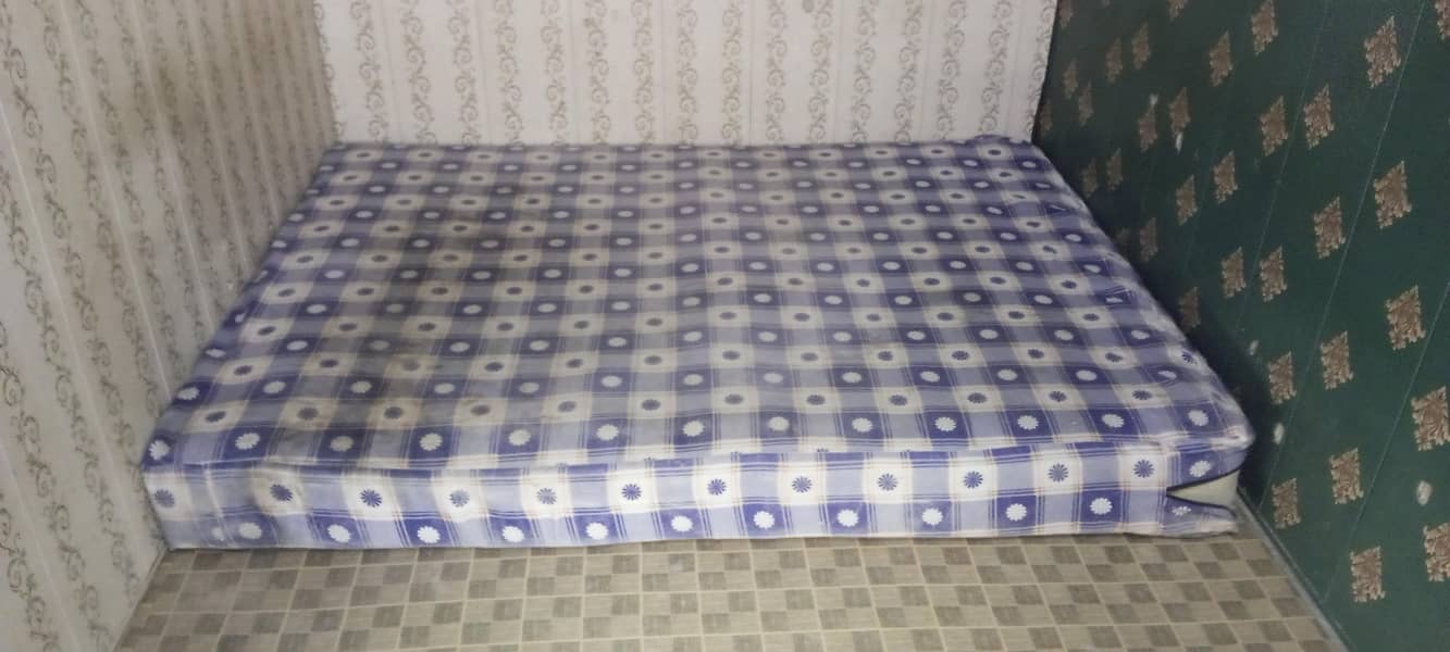 MASTER Celeste Spring 0