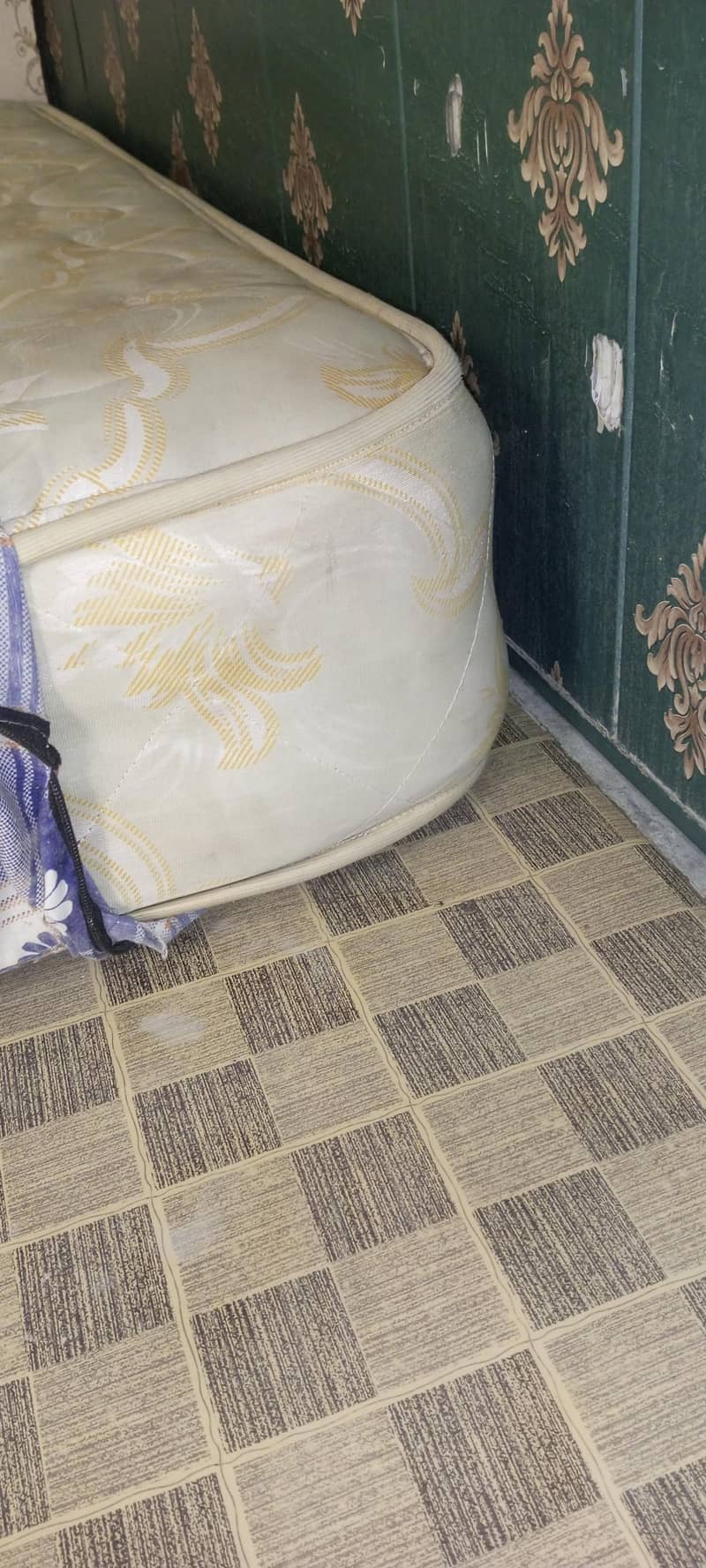 MASTER Celeste Spring 1