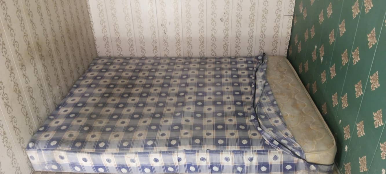 MASTER Celeste Spring 2