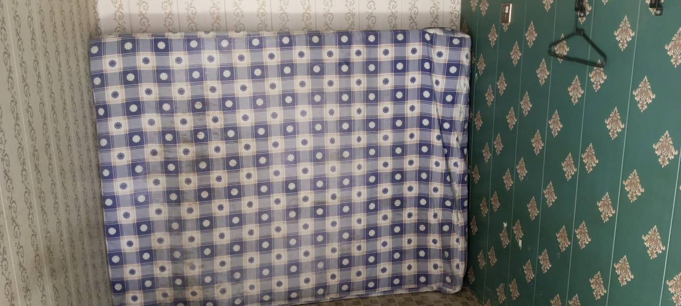 MASTER Celeste Spring 3