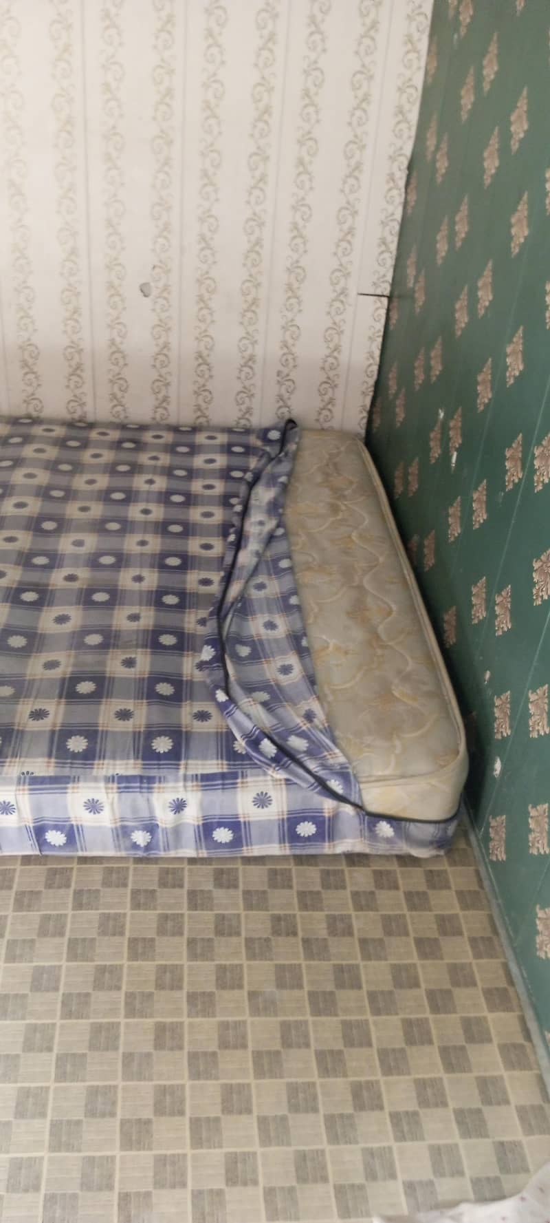 MASTER Celeste Spring 4