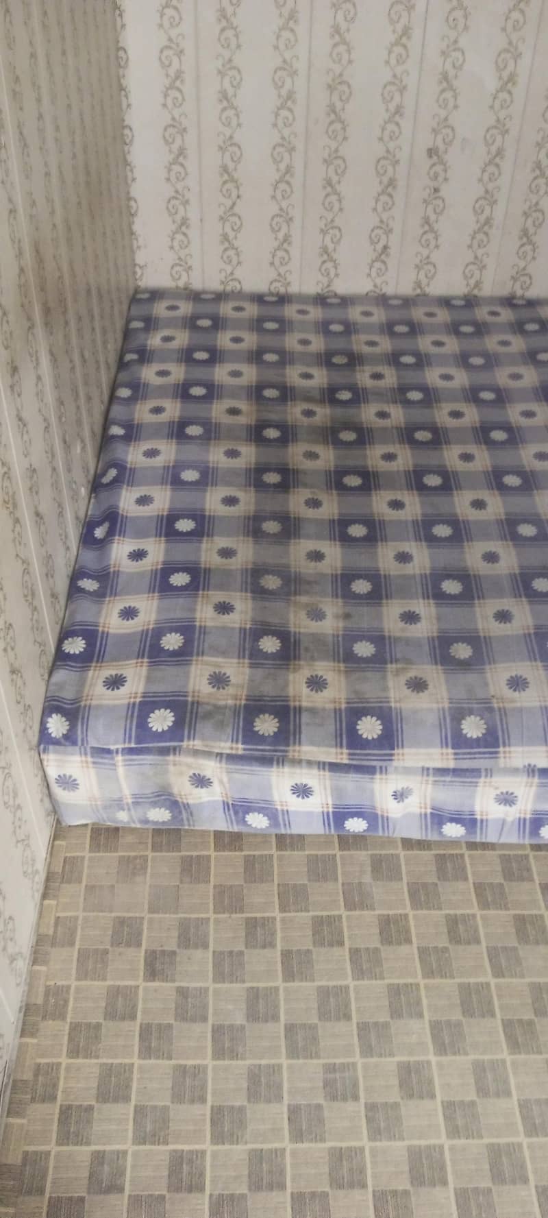 MASTER Celeste Spring 5