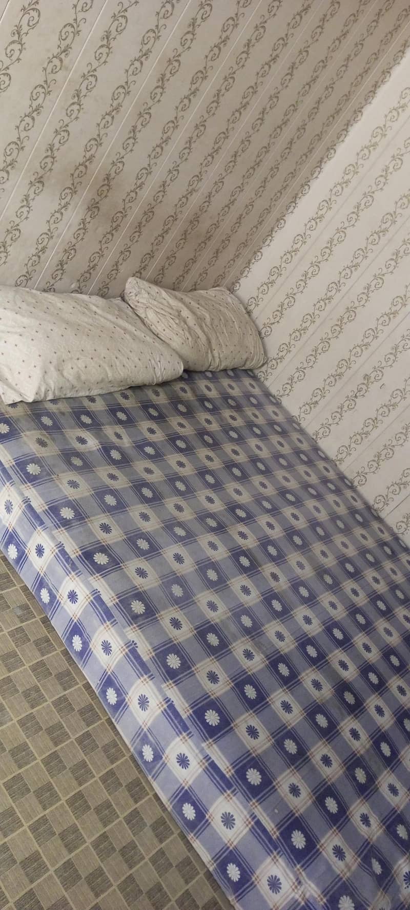 MASTER Celeste Spring 6