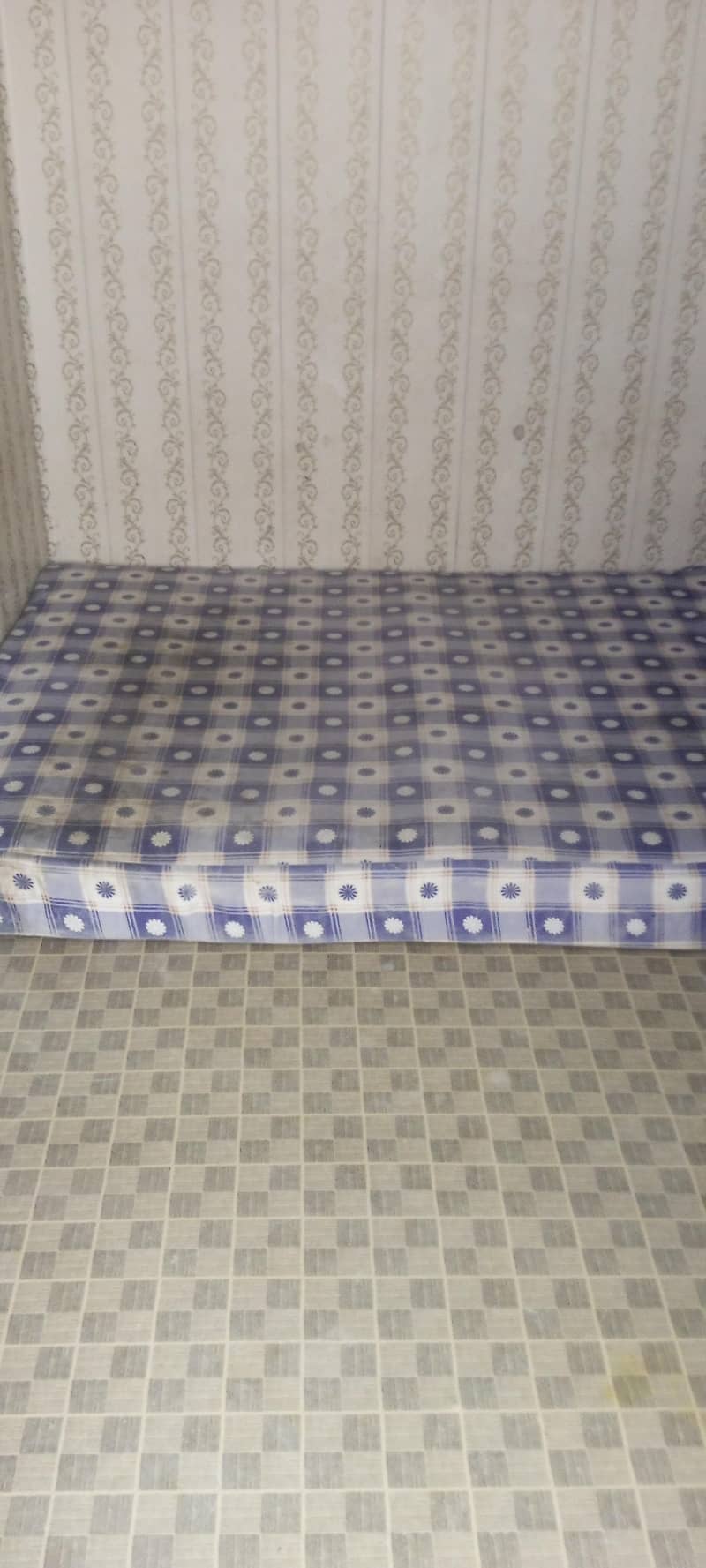 MASTER Celeste Spring 7