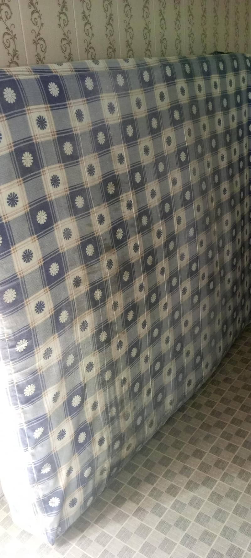 MASTER Celeste Spring 8